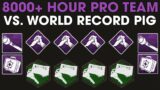 8,000 Hour Pro Team vs. World Record Pig Main | Dead By Daylight