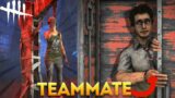 These are Your Real Teammates in DBD (Dead by Daylight Funny Moments Ep. 204)