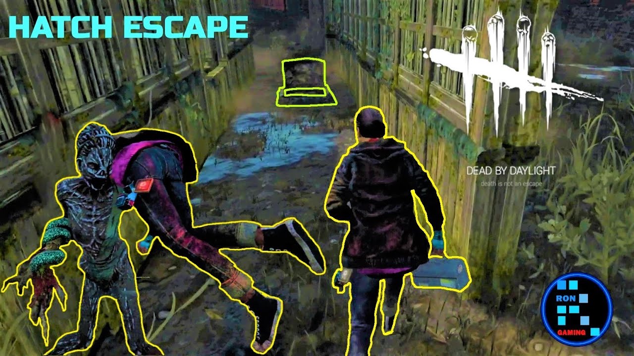 Dead By Daylight The Hag Killer Amazing Hatch Escape Dead by Daylight videos