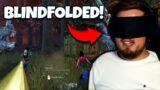 I Played Spirit Blindfolded! – Dead by Daylight