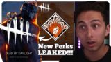 NEW PERKS, OFFERINGS, and SURVIVOR STATUS EFFECT LEAKED – Dead by Daylight