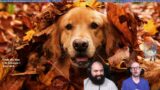 Puppers VS The Knight Stream! Dead By Daylight