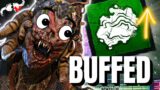 BUFFED Stealth Hag Makes Them Quit! | New Add-on Change & New BIG MAP For Hag…Dead By Daylight