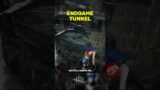 WHEN THE KILLER HAS TUNNEL VISION (LITERALLY) – Dead By Daylight